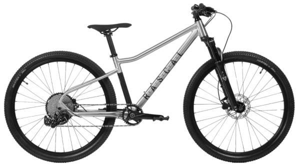 Rascal Bikes Wild 27"